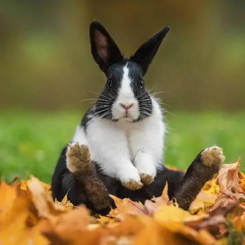 Basliksiz 3 Calisma Yuzeyi 1 kopya