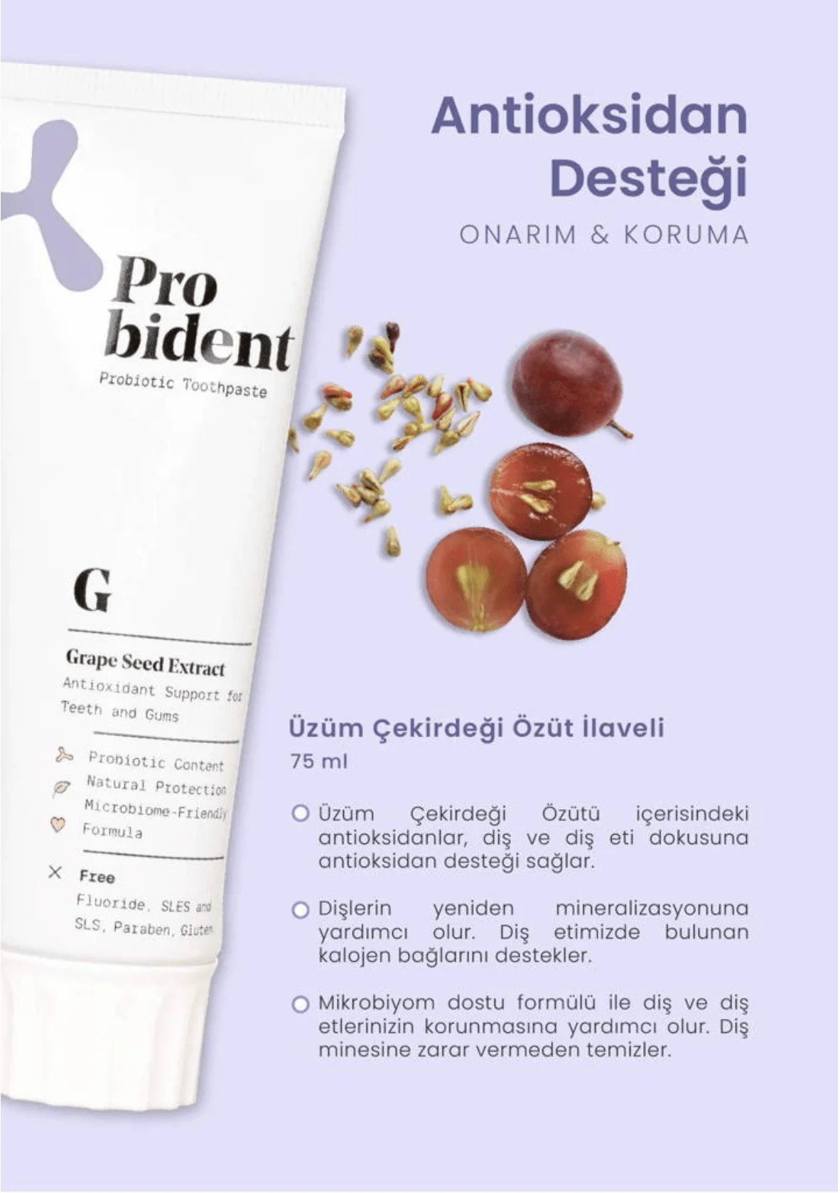 Ekran Resmi 2024 01 13 10.31.23