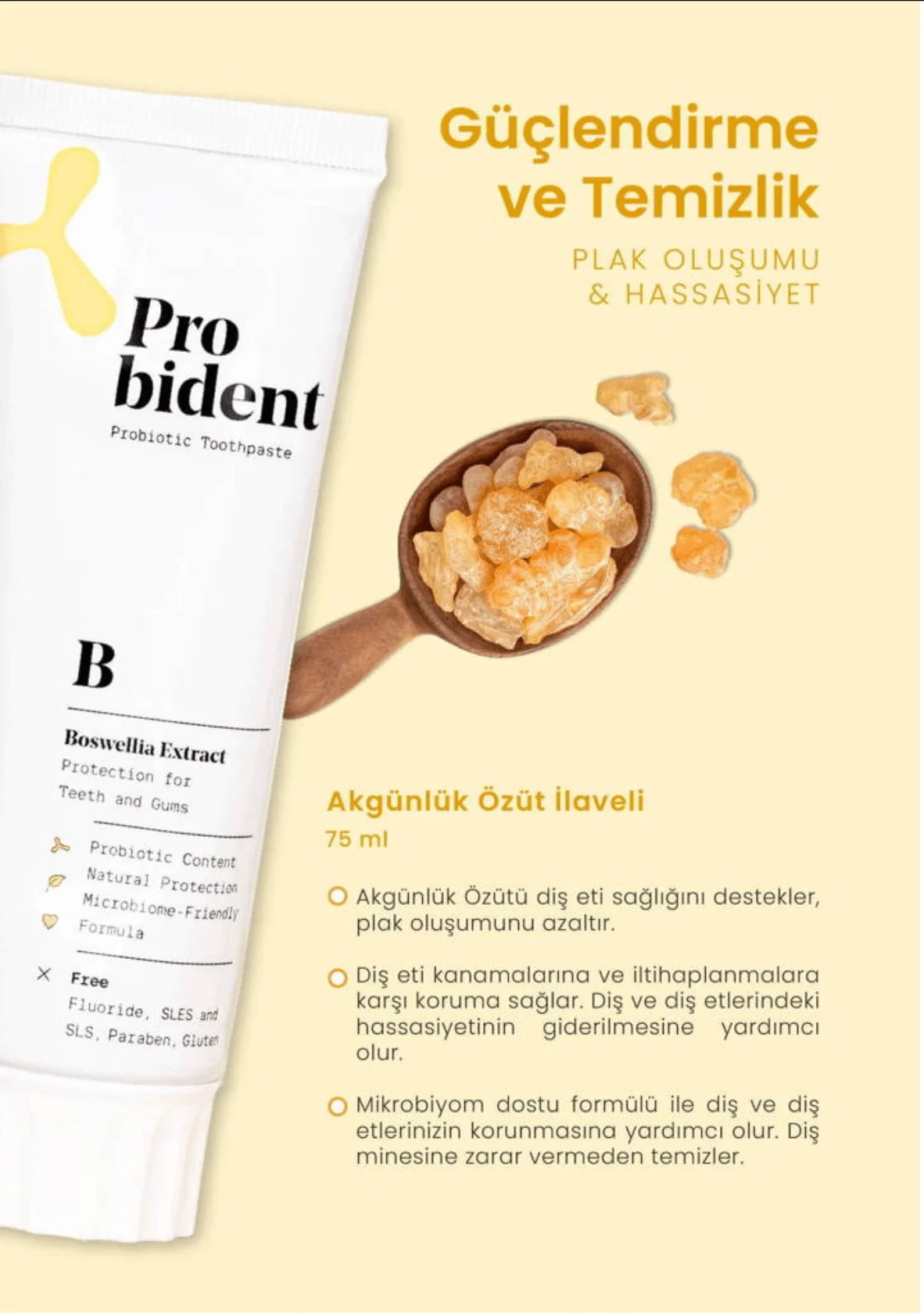 Ekran Resmi 2024 01 13 10.31.42