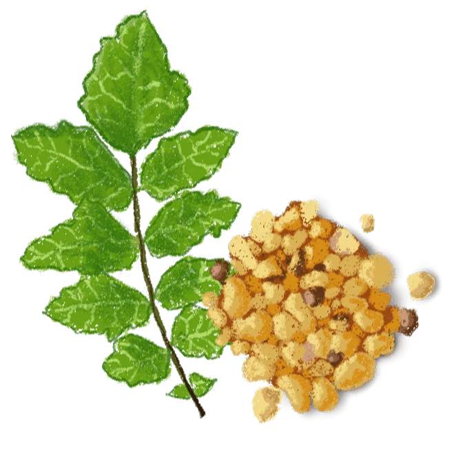 Calisma yuzeyi 3