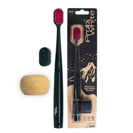 probiwhite x probident Calisma Yuzeyi 1