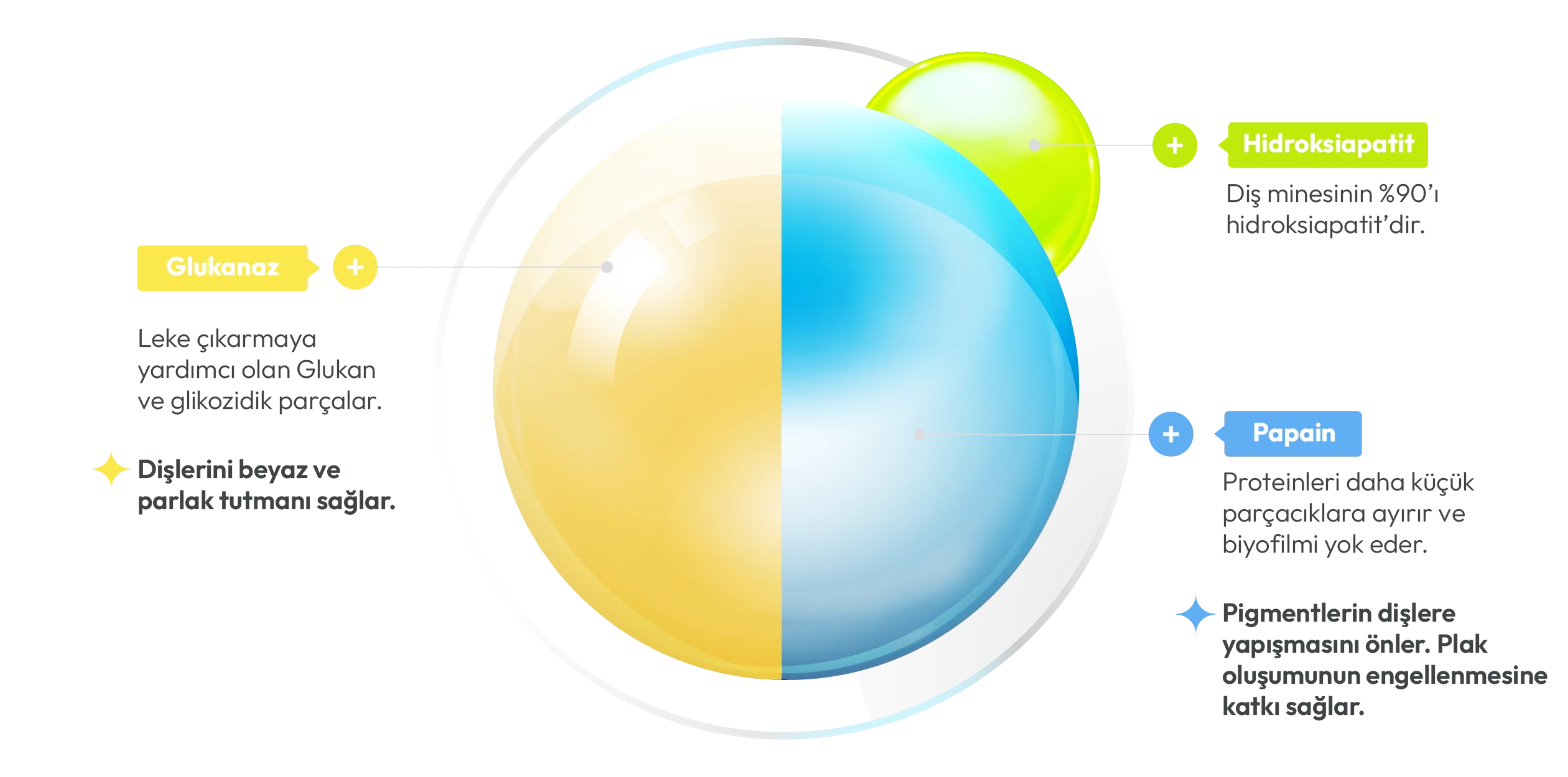 Papain Glukonaz Nano Hidroksiapatit  web