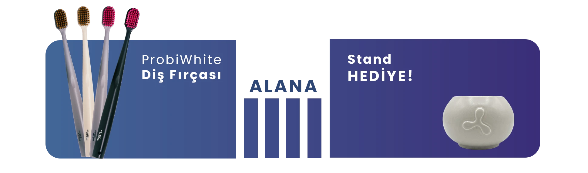 Diş Fırçası Badge
