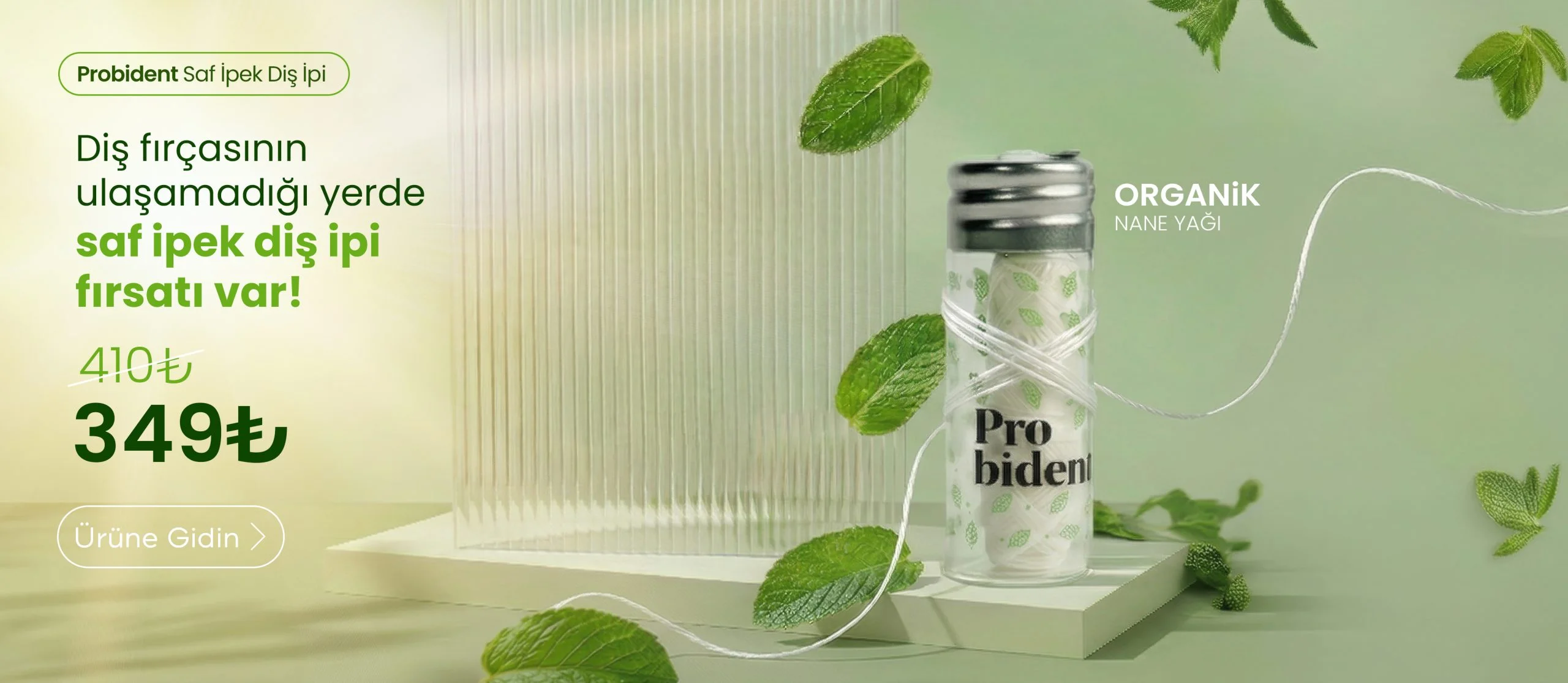 Probident banner disipi