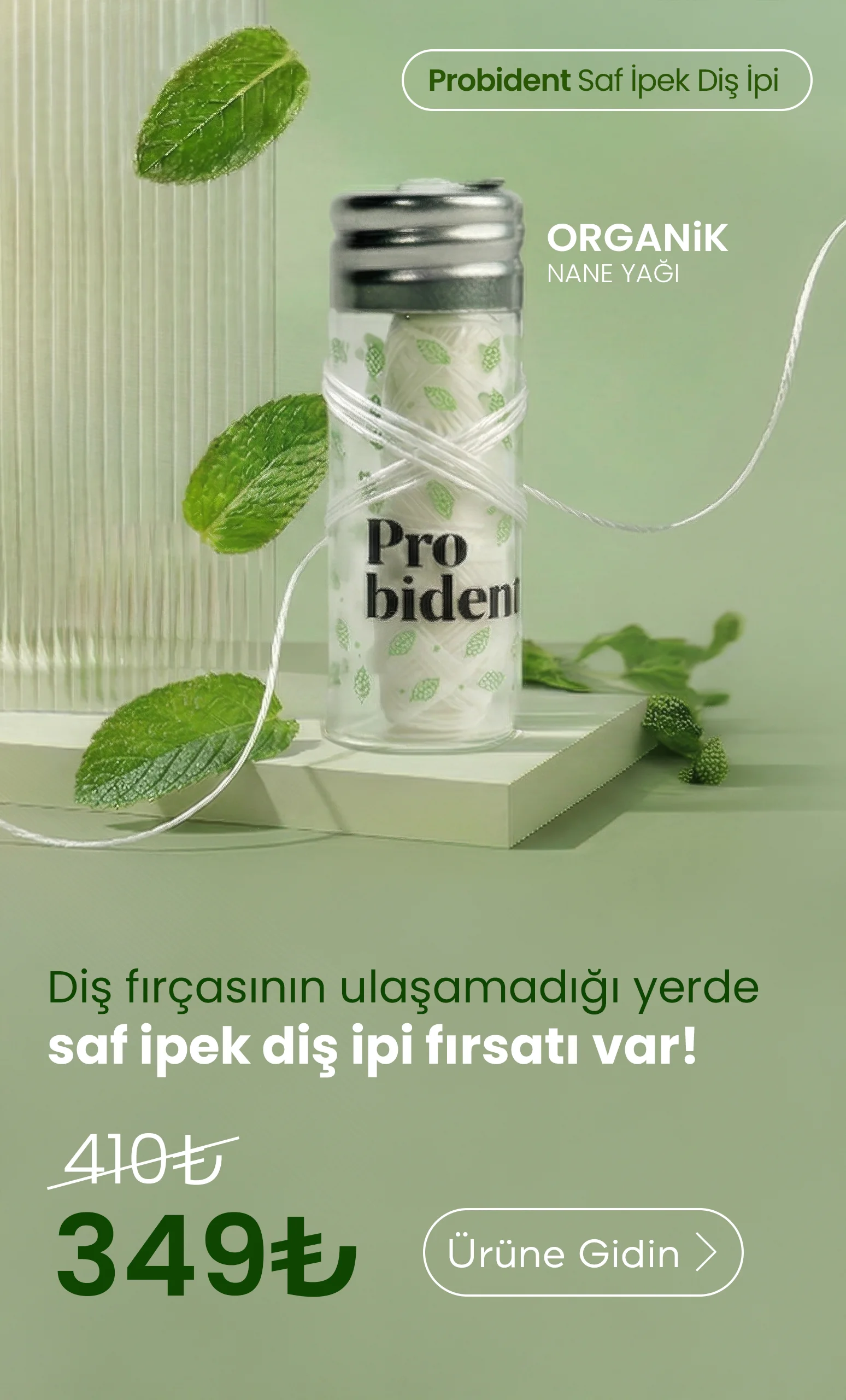 Probident banner disipi mobil copy