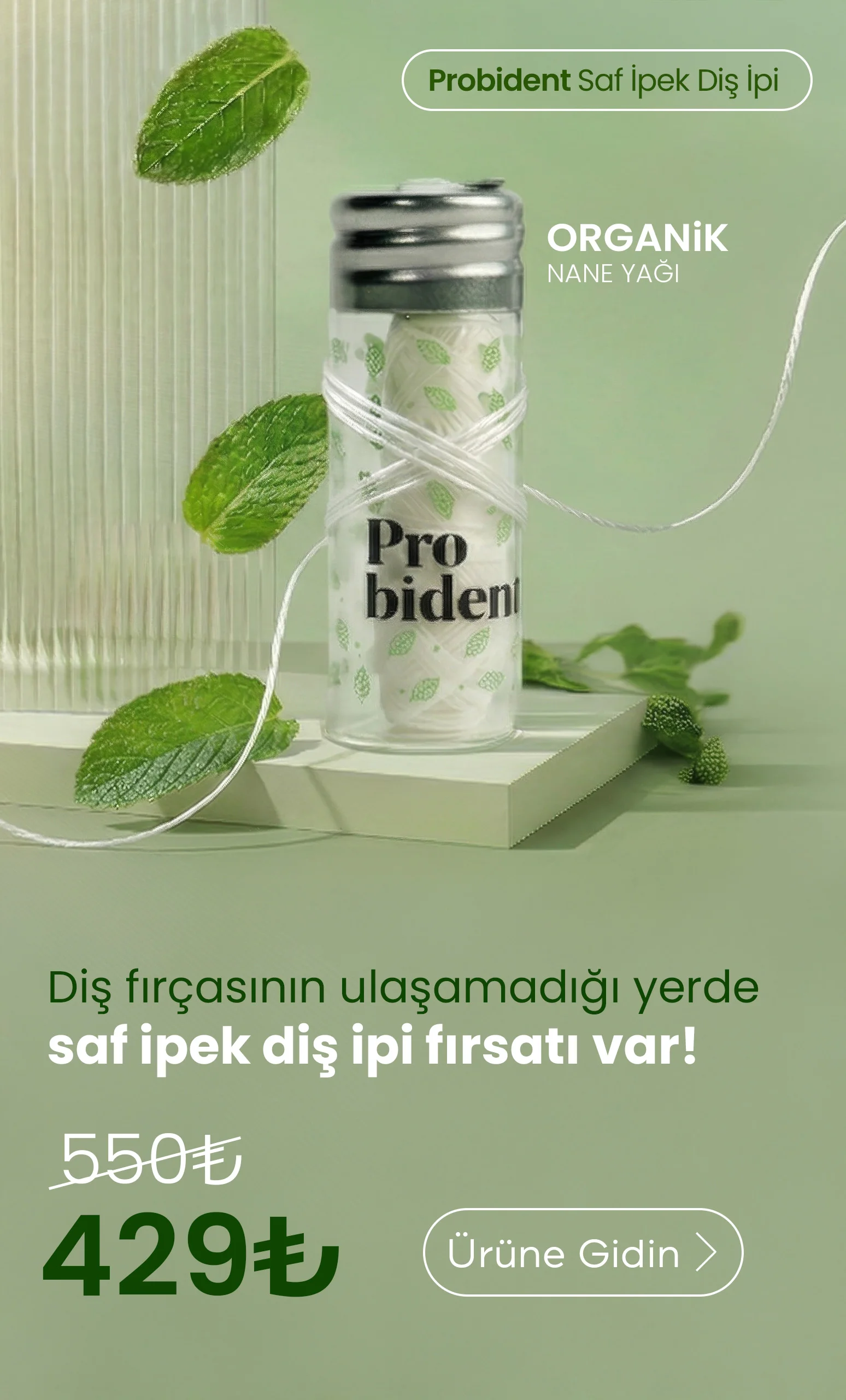 Probident banner disipi mobil