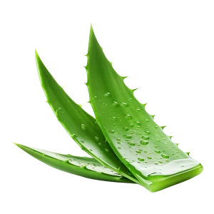 Icindekiler aloevera 300x300 1