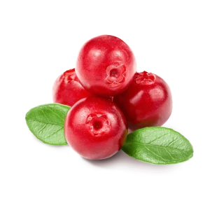 Icindekiler kizilcik tohumu 300x300 1