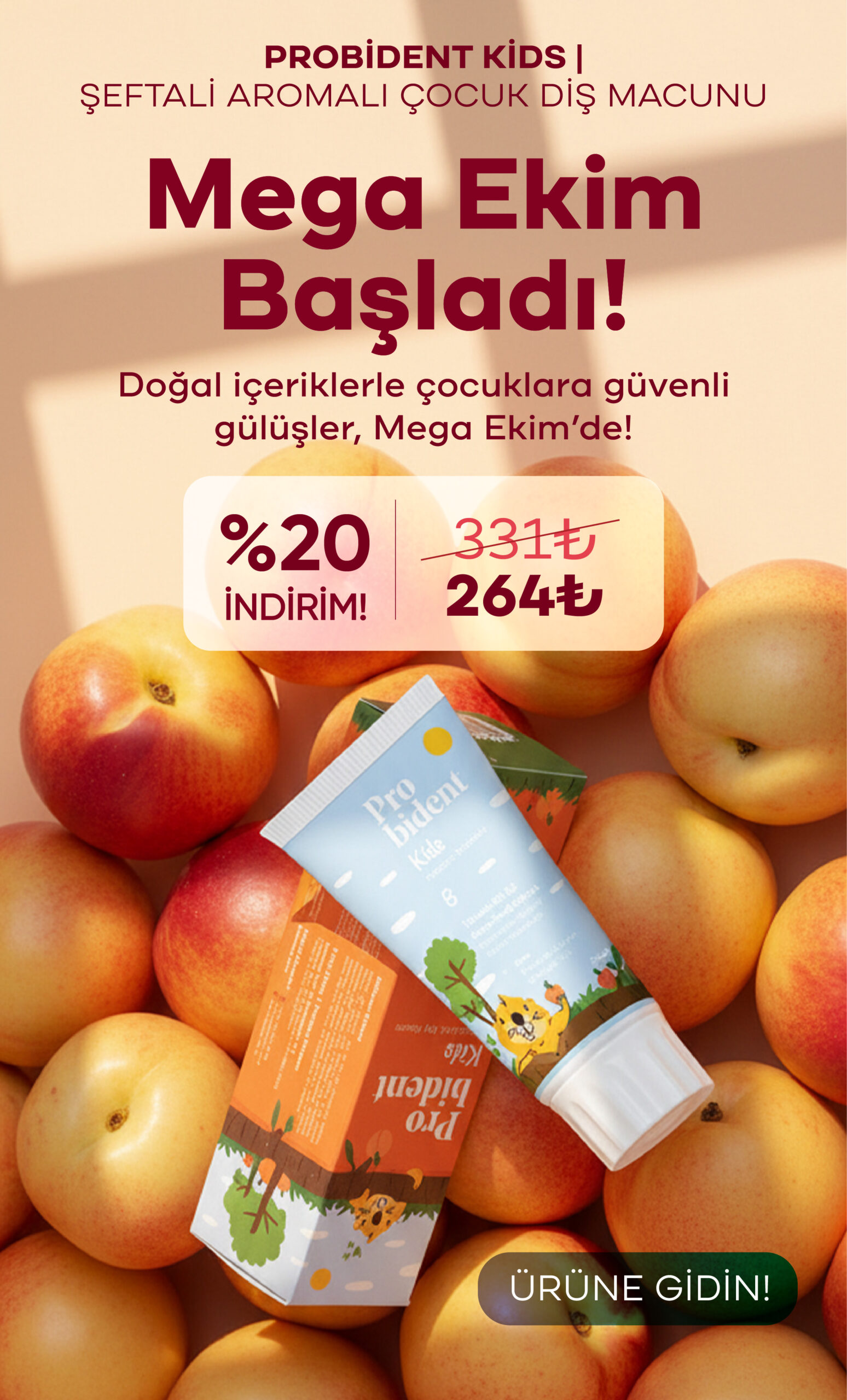 Probident mega ekim 25 08 scaled