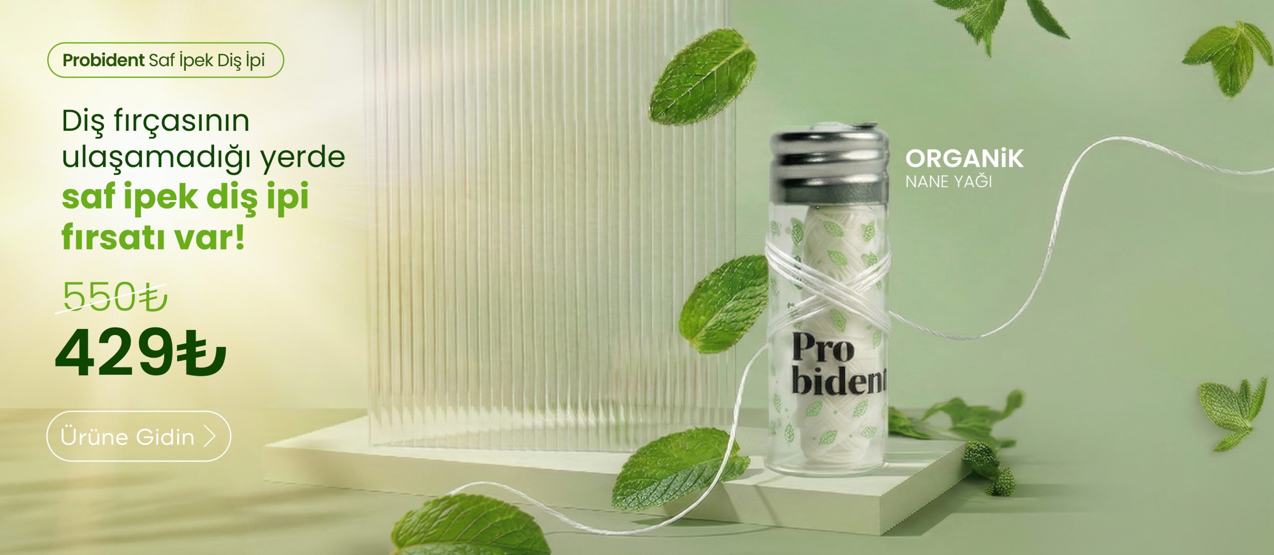 Probident banner disipi